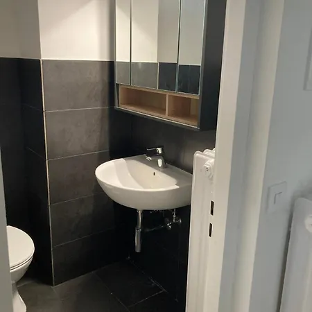 2 Zimmer An Der Isar Apartment Munich